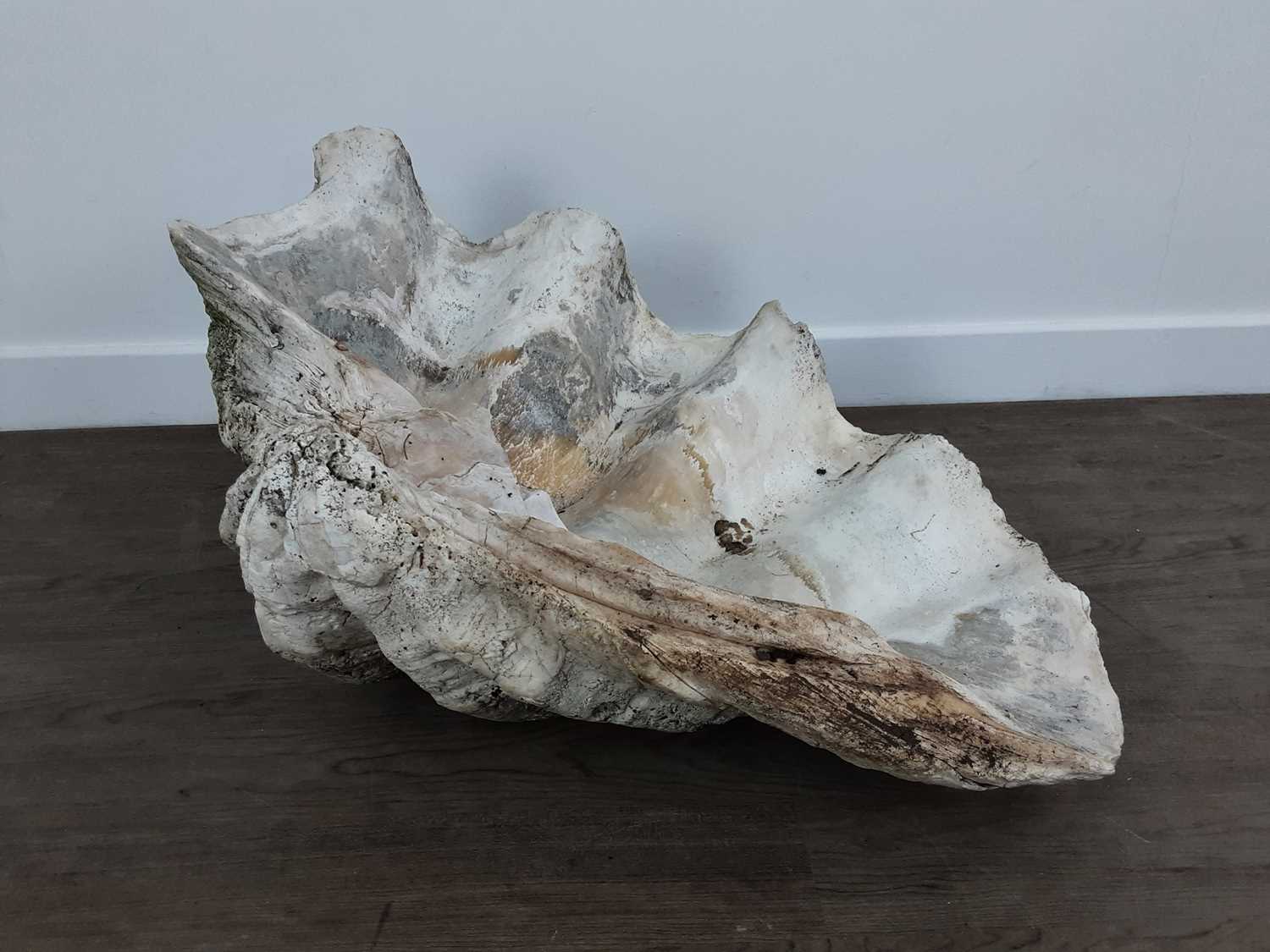 Lot 109 - VICTORIAN GIANT CLAM HALF-SHELL,