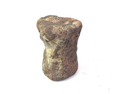 Lot 56 - FOSSIL, ANKYLOSAURUS TAIL VERTEBRAE