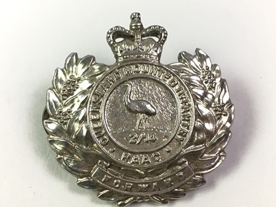 Lot 509 - COLLECTION OF REGIMENTAL CAP AND OTHER BADGES