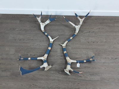 Lot 398 - PAINTED ANTLERS