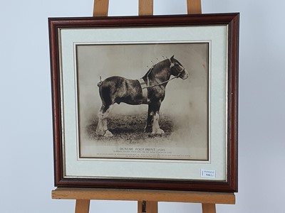 Lot 518 - PHOTOGRAPHIC FRAMED PRINT