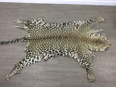 Lot 6 - EARLY 20TH CENTURY TAXIDERMY LEOPARD SKIN