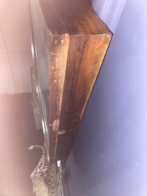 Lot 7 - ANTHROPOD INSECT SPECIMEN DISPLAY