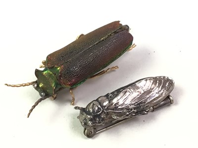 Lot 43 - TWO BEETLE BROOCHES