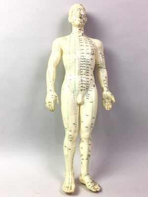 Lot 541 - SCIENTIFIC ANATOMICAL FIGURE