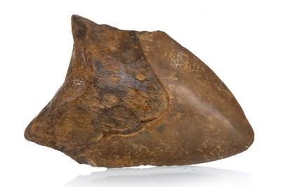 Lot 20 - FOSSILED MEGALODON TOOTH