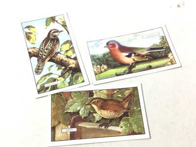 Lot 751 - COLLECTION OF CIGARETTE CARDS