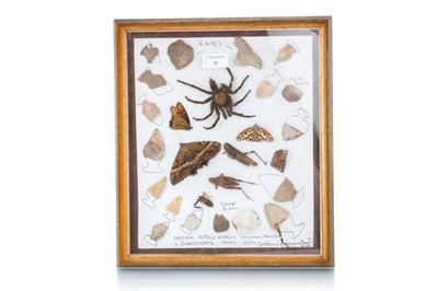 Lot 29 - FLINT AND NATURAL HISTORY SPECIMENS