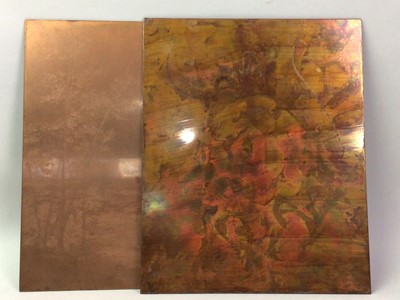 Lot 468 - GROUP OF BRASS PLATES