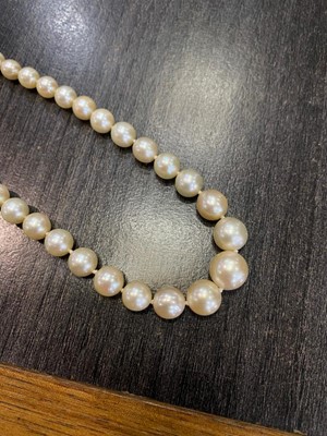 Lot 523 - PEARL NECKLACE WITH EMERALD AND DIAMOND CLASP