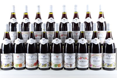 Lot 228 - 24 BOTTLES OF GEORGE DUBOEUF 2007 VINTAGE