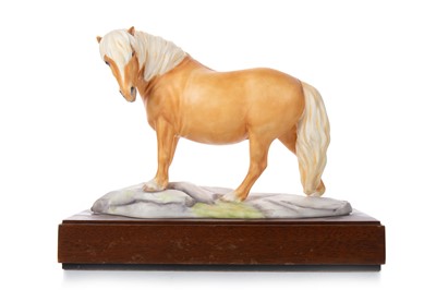 Lot 1354 - BERNARD WINSKILL FOR ROYAL WORCESTER, SHETLAND PONY