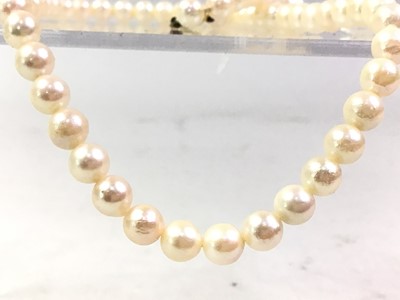 Lot 477 - *CATALOGUE AMENDMENT, PEARL NECKLACE