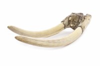 Lot 887 - EARLY 20TH CENTURY WALRUS SKULL AND TUSK the...