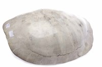 Lot 900A - EARLY 20TH CENTURY BLONDE TURTLE SHELL...