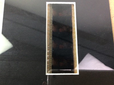 Lot 561 - ELVIS PRESLEY, LIMITED EDITION FILM CELL