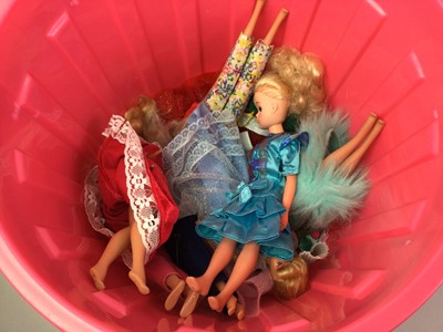 Lot 507 - SINDY'S OWN WARDROBE