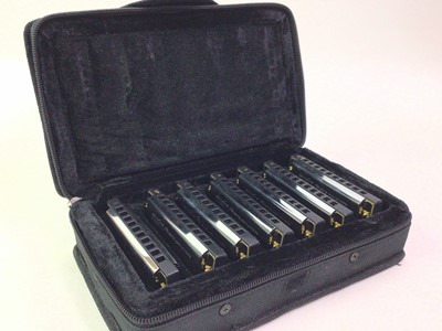 Lot 48 - SET OF SEVEN STAGG "HOWLIN' HARP BLUES" HARMONICAS