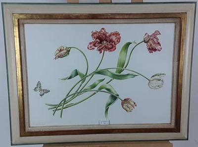 Lot 712 - GROUP OF BOTANICAL PRINTS