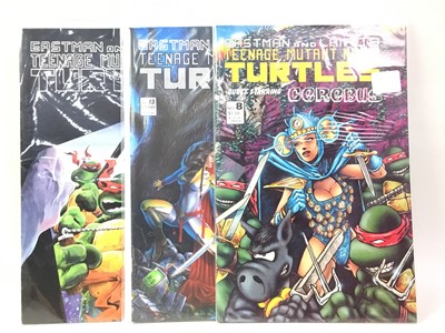 Lot 642 - TEENAGE MUTANT NINJA TURTLES, COLLECTION OF COMIC BOOKS