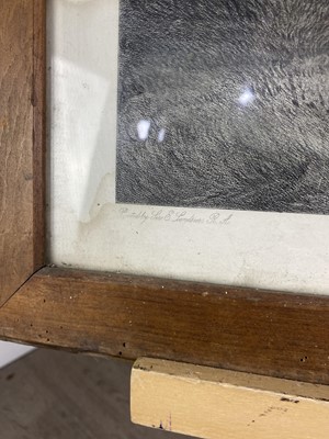 Lot 322 - AFTER SIR EDWARD LANDSEER (BRITISH 1802 - 1873)