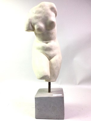 Lot 216 - TWO PLASTER TORSO SCULPTURES