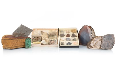 Lot 23 - COLLECTION OF MINERAL AND FOSSIL SPECIMENS