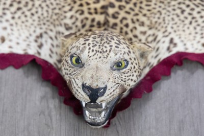 Lot 87 - IN THE MANNER OF ROWLAND WARD, TAXIDERMY LEOPARD SKIN RUG