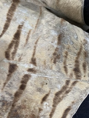 Lot 88 - IN THE MANNER OF ROWLAND WARD, TAXIDERMY TIGER SKIN RUG