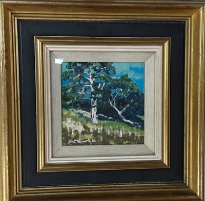 Lot 790 - F W CARLYLE