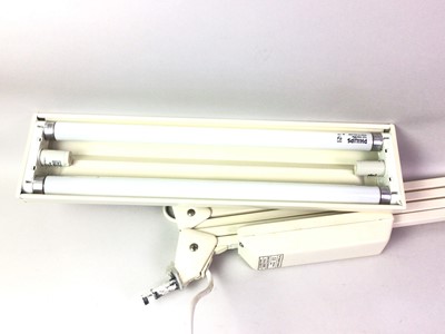 Lot 353 - PAIR OF DAYLIGHT COMPANY NORTH LIGHTS