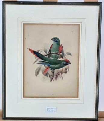 Lot 375 - LITHOGRAPH OF EXOTIC BIRDS