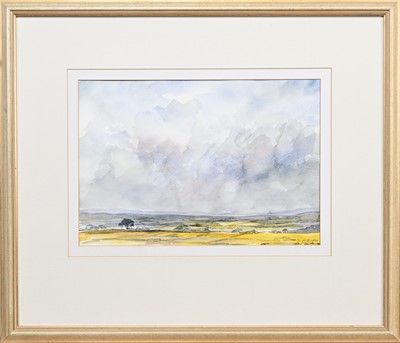 Lot 16 - * JOYCE M BORLAND