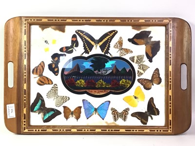 Lot 713 - BRAZILIAN INLAID BUTTERFLY TEA TRAY