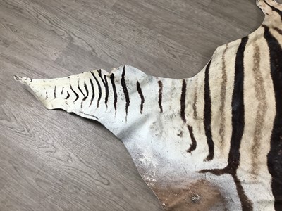 Lot 1827 - BURCHELL'S OR PLAIN'S ZEBRA SKIN RUG