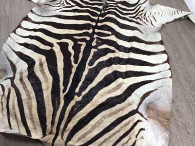 Lot 1827 - BURCHELL'S OR PLAIN'S ZEBRA SKIN RUG