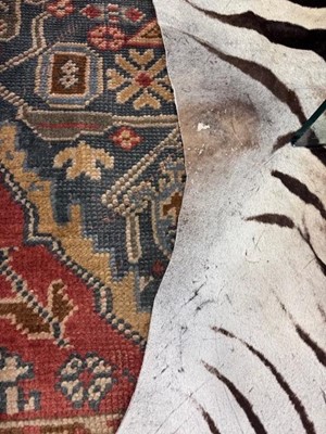 Lot 1827 - BURCHELL'S OR PLAIN'S ZEBRA SKIN RUG