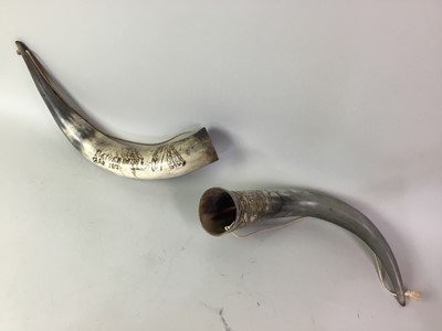 Lot 766 - PAIR OF COW HORNS