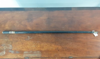 Lot 100 - INDIAN EBONISED SWORD STICK