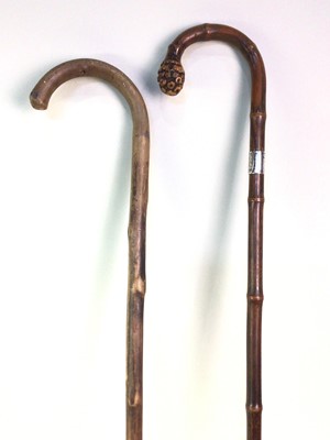 Lot 7 - GROUP OF WALKING STICKS