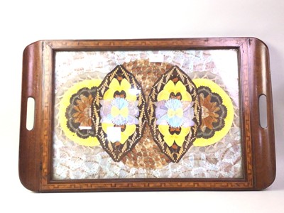 Lot 205 - BRAZILIAN INLAID BUTTERFLY TRAY