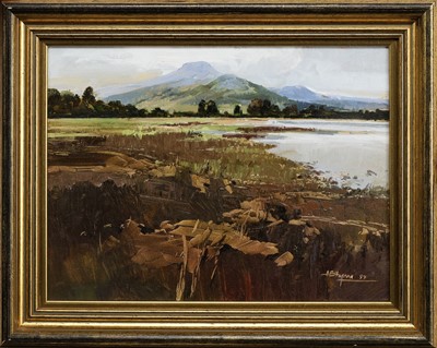 Lot 75 - * ALAN B HAYMAN (SCOTTISH b. 1947)