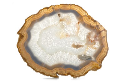 Lot 1810 - THREE BANDED AGATE SLICE SPECIMENS