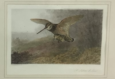 Lot 364 - AFTER ARCHIBALD THORBURN (SCOTTISH 1860 - 1935)