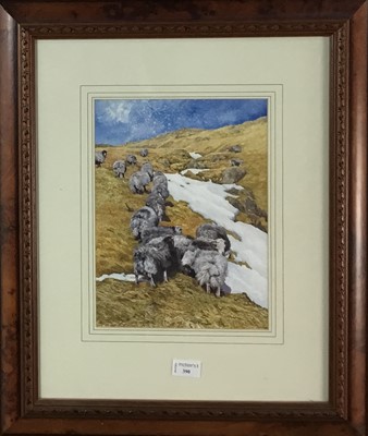 Lot 390 - * DAVID CARTER