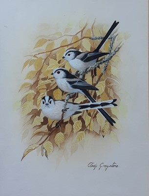 Lot 446 - ANDY GRAYSTONE