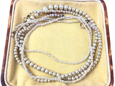 Lot 28 - STRING OF SEED PEARLS