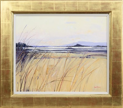 Lot 200 - * ROBERT KELSEY DA MUniv PAI FRSA (SCOTTISH b. 1949)