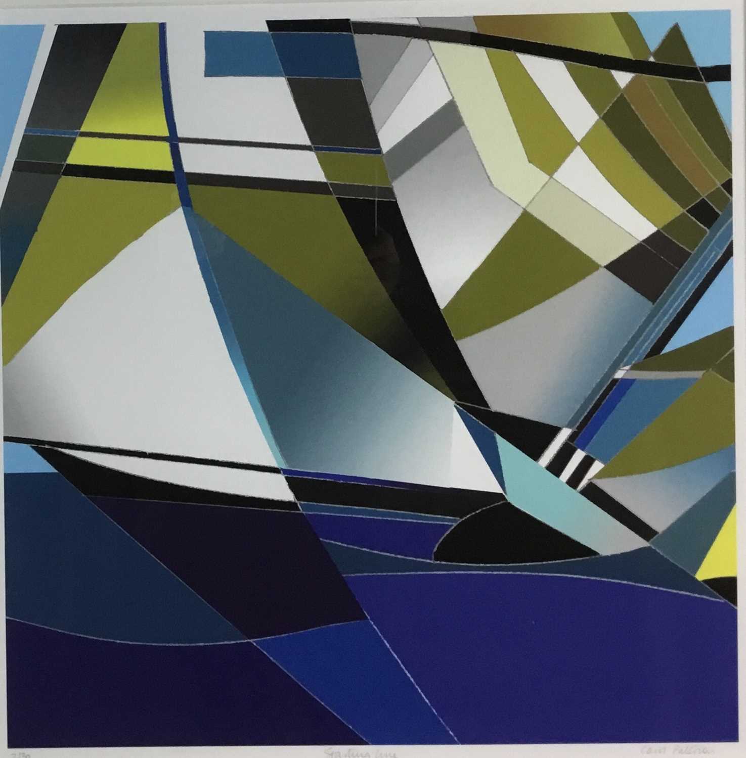 Lot 816 - CAROL PATERSON