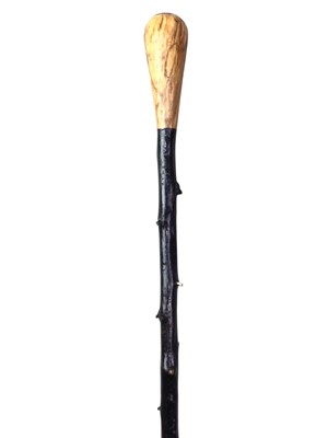 Lot 173 - CREST SET WALKING STICK